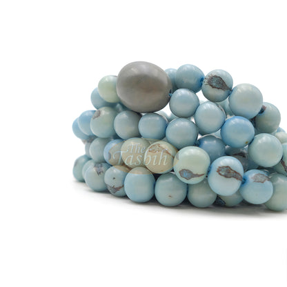 Sky Blue Natural Colored Dye Eco-Friendly Sustainable Original Açai Seed 9mm Beads Traditional Tasbih