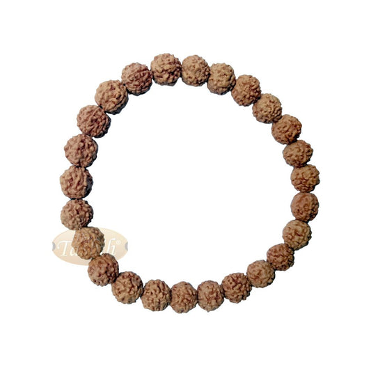 Bracelet Jenitri Rudraksha Seed 9 mm with 25 Beads On Black Elastic Cord Unisex