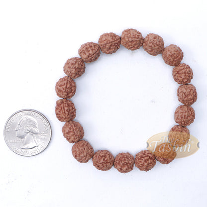 Rudraksha Beaded Bracelet – 10mm Jenitri Seed Healing Prayer Beads With 19 Beads On Elastic Cord