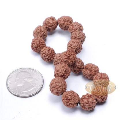 Rudraksha Beaded Bracelet – 10mm Jenitri Seed Healing Prayer Beads With 19 Beads On Elastic Cord