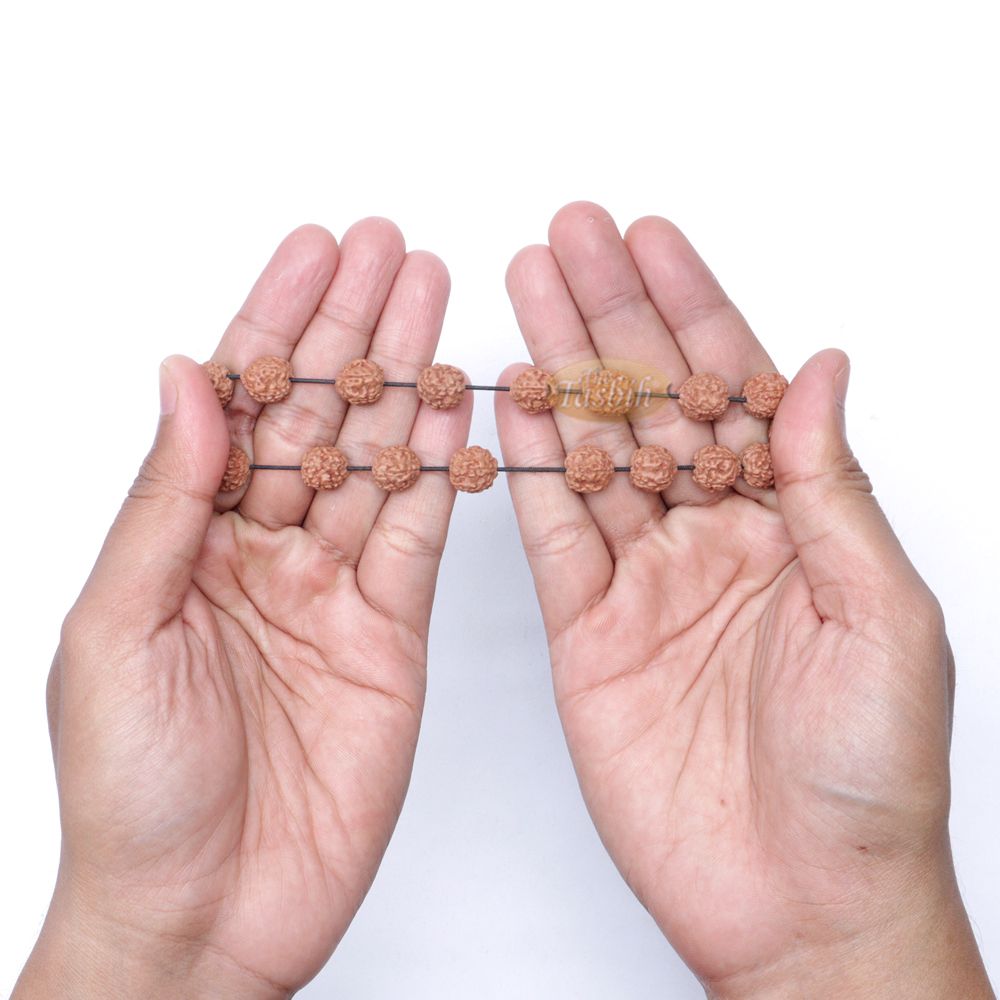 Rudraksha Beaded Bracelet – 10 mm Jenitri Seed Healing Prayer Beads with 19 Beads On Elastic Cord