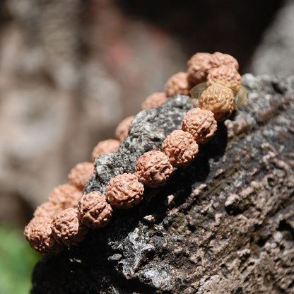 Rudraksha Beaded Bracelet – 10 mm Jenitri Seed Healing Prayer Beads with 19 Beads On Elastic Cord