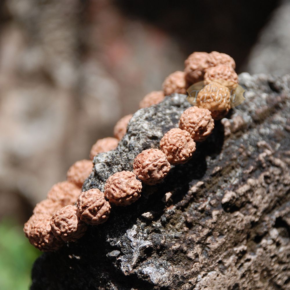 Rudraksha Beaded Bracelet – 10 mm Jenitri Seed Healing Prayer Beads with 19 Beads On Elastic Cord