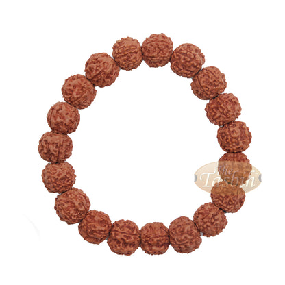 Rustic Exotic Handmade Bracelet Jenitri Rudraksha Seed 12mm With 19 Beads On Black Elastic Cord Unisex