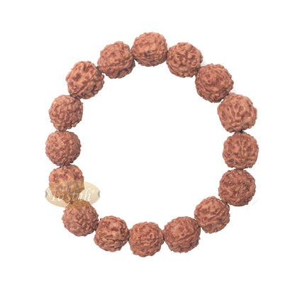 Natural Bracelet Jenitri Rudraksha Seed 16 mm with 16 Beads On Black Elastic Cord Unisex