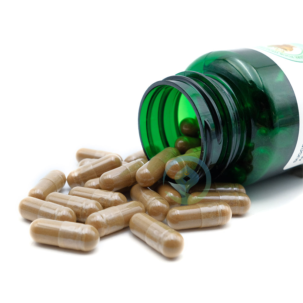 Worthy Herbs Shilajit supplement bottle containing 100 vegetarian capsules for rejuvenation and detoxification.